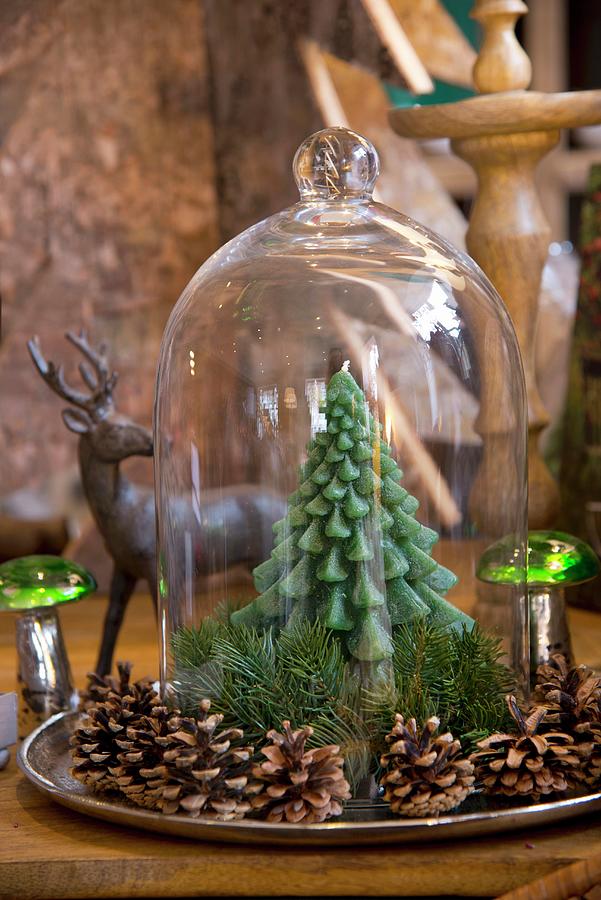Pine-tree Candle Under Glass Cover Surrounded By Pine Cones Photograph by Inge Ofenstein