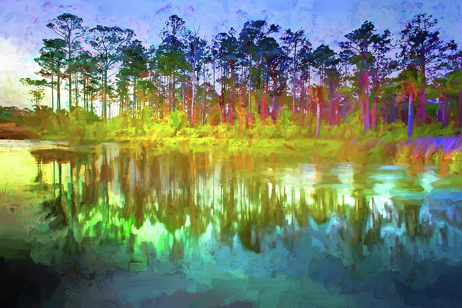 Pine Tree Reflections by Alice Gipson Pine Tree Reflections by Alice Gipson