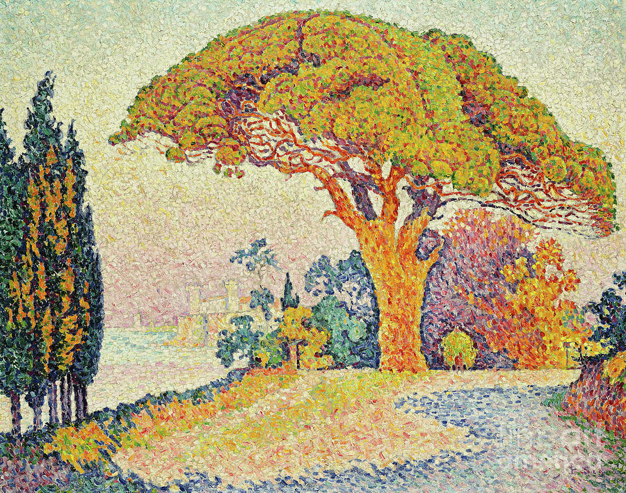 Pine Trees at Bertaud, Saint Tropez Provence Painting by Paul Signac