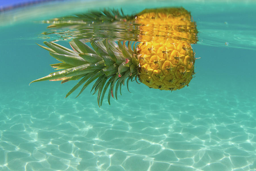 Pineapple Floating In Swimming Pool, Close-up Digital Art by Philip ...