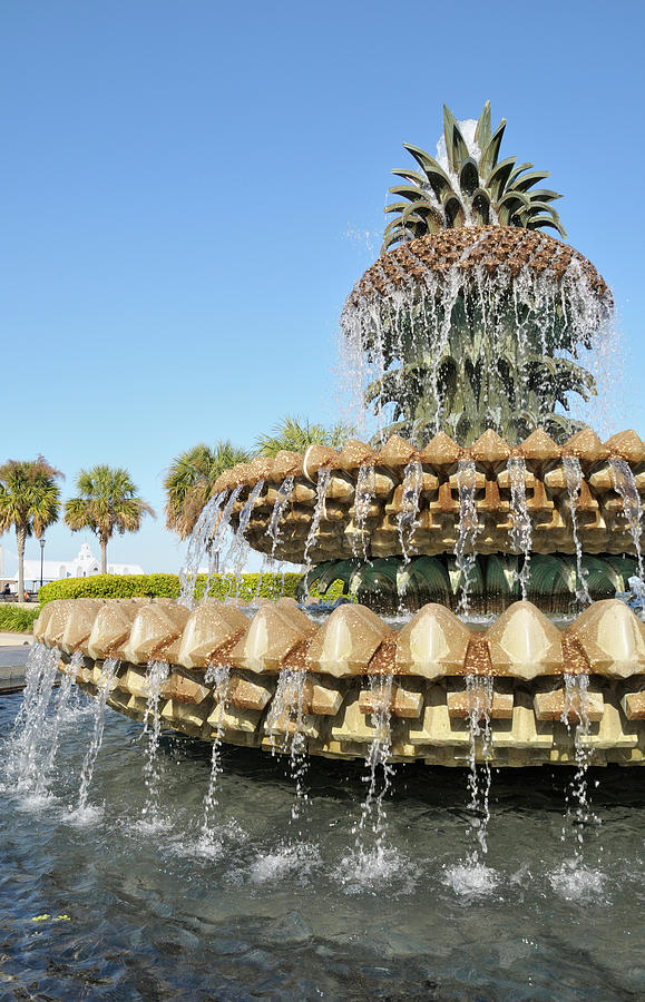 Pineapple Fountain, Charleston Photograph by Rivernorthphotography