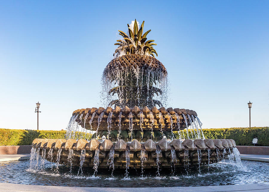 Pineapple Fountain Photograph by Framing Places