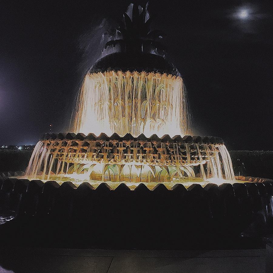 Pineapple fountain Photograph by Michael Johnson Fine Art America