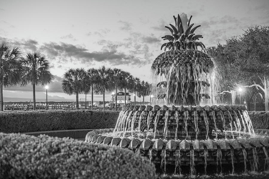Pineapple Fountain Photograph by Teresa Hughes