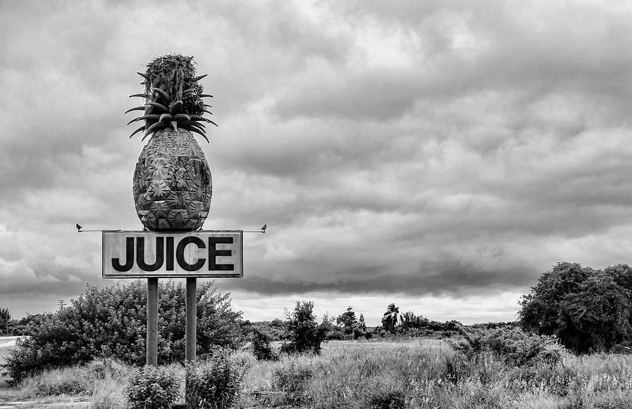 Pineapple Juice Photograph by Robert Wilder Jr