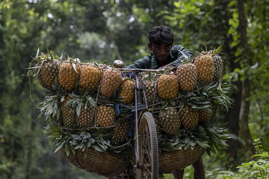 Pineapple Man Photograph By Azim Khan Ronnie Pixels   Pineapple Man Azim Khan Ronnie 