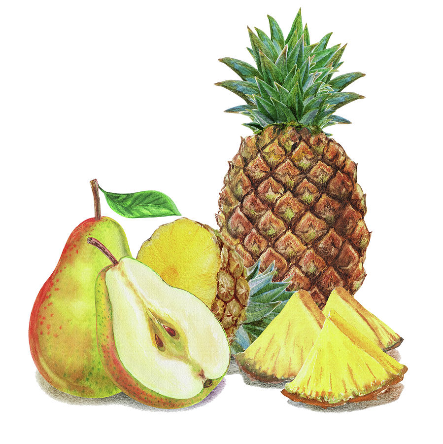 Pineapple Pear Watercolor Food Illustration  Painting by Irina Sztukowski