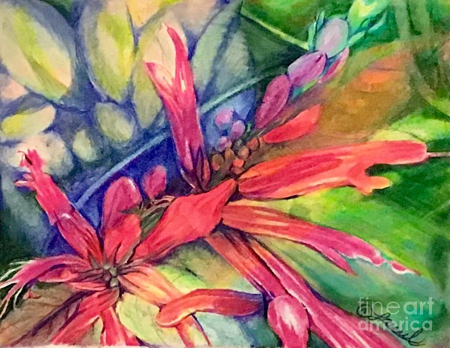 Pineapple Sage Blossoms by Laurel Adams Pineapple Sage Blossoms by Laurel Adams