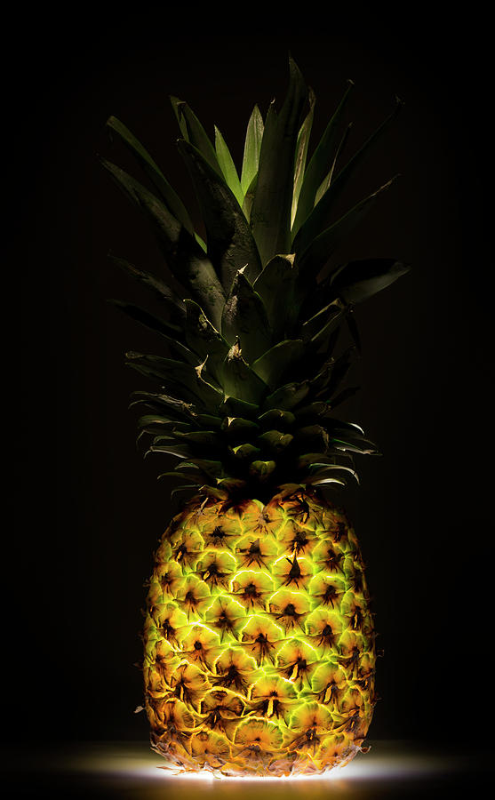 Pineapple Photograph by Wieteke De Kogel