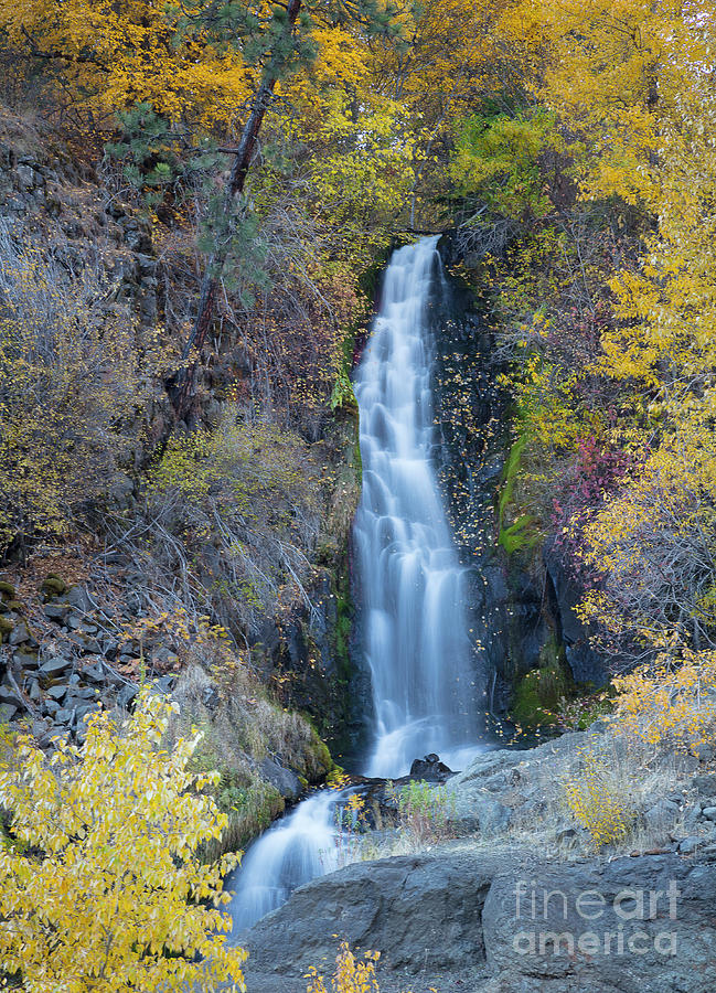 Pinehurst Falls Photograph by Idaho Scenic Images Linda Lantzy
