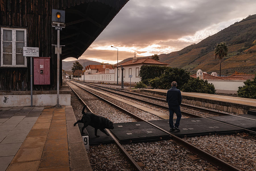Transportation Photograph - Pinho Railway Station by Abilio Oliveira