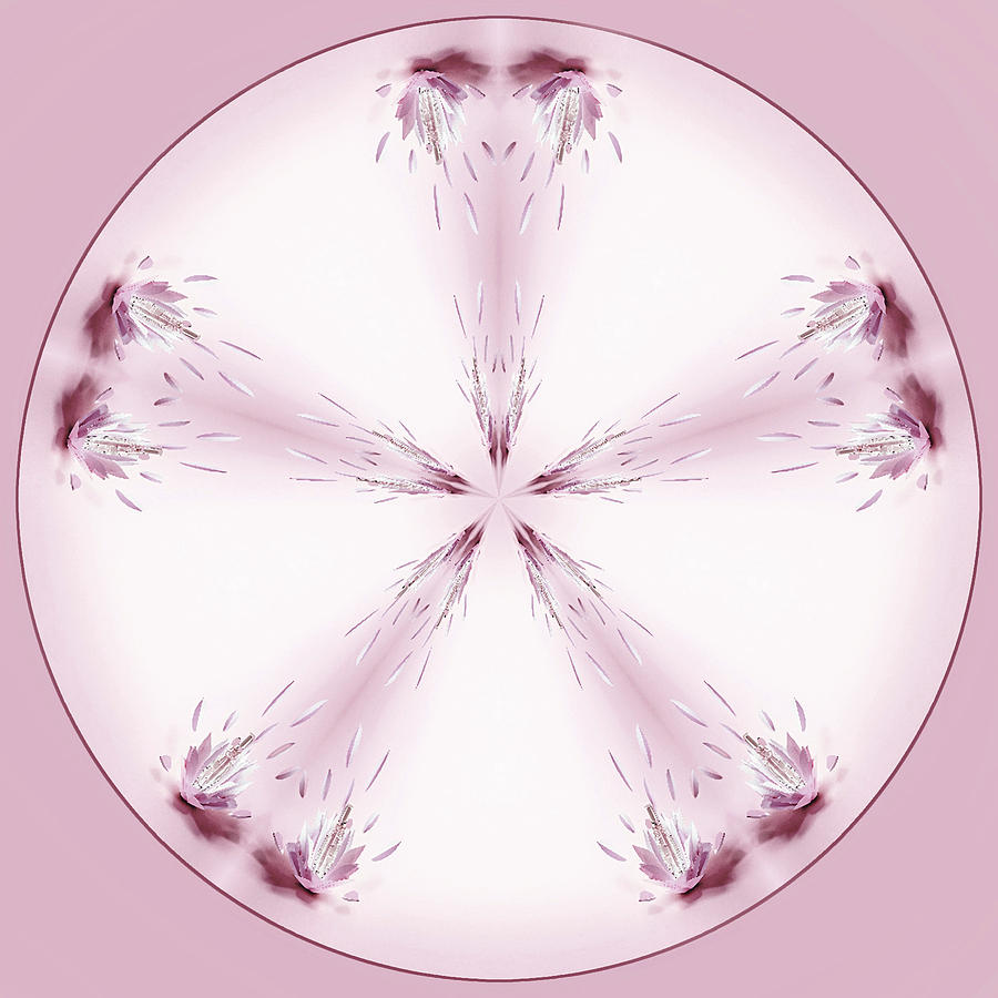 Pink Abstract in a Circle by Cyndy Doty Pink Abstract in a Circle by Cyndy Doty