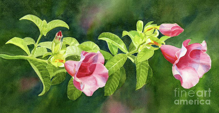 Flower Painting - Pink Allamanda Blossoms with Background by Sharon Freeman