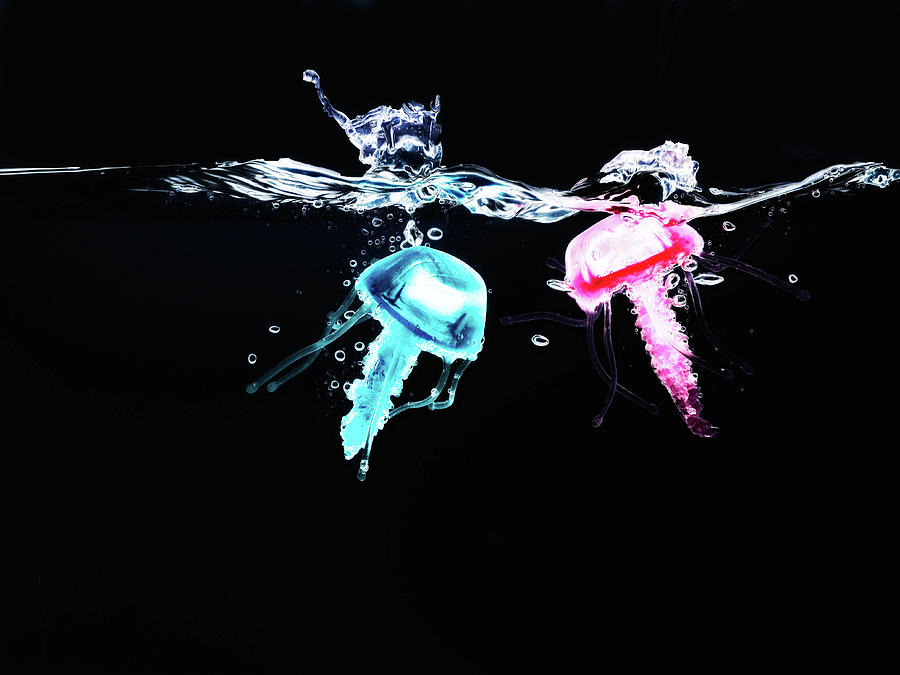 Still Life Digital Art - Pink And Blue Jellyfish In Water by Still Factory