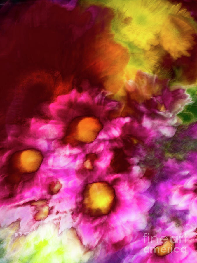 Pink and orange flower abstract Photograph by Phillip Rubino