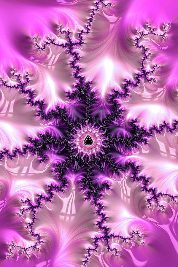 Pink and purple abstract Fractal Digital Art by Matthias Hauser