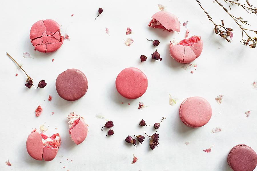 Pink And Purple Macaroons seen From Above Photograph by Tim Atkins Photography