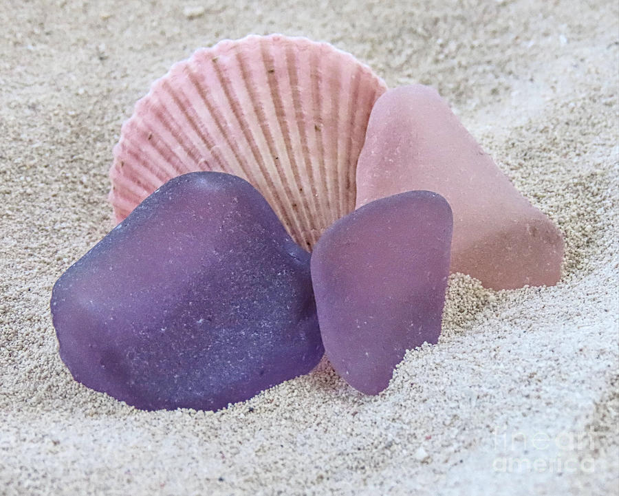 Pink and purple sea glass Photograph by Janice Drew