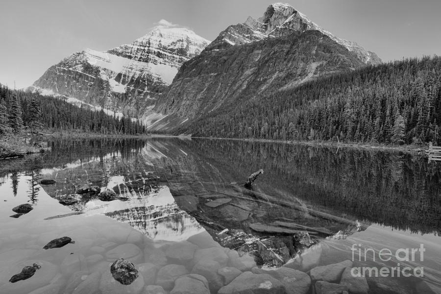 Pink And Purple Tips In Cavell Pond Black And White Photograph by Adam Jewell