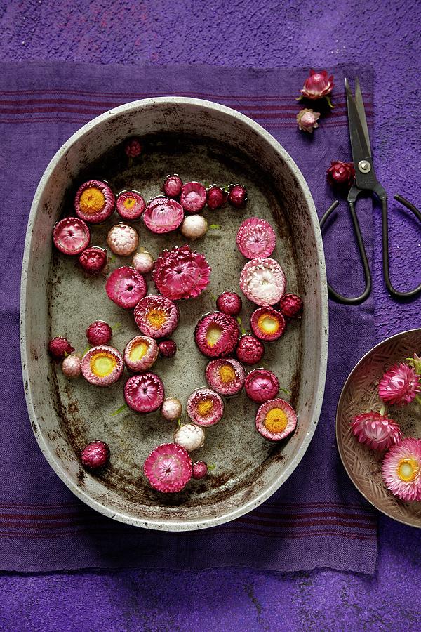 Pink And Red Everlasting Flowers Floating In Old Zinc Dish On Purple Linen Napkin Photograph by Anke Schtz