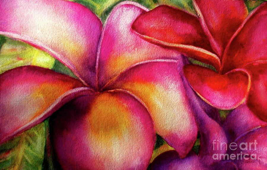 Pink and Red Plumerias by Carolyn Jarvis Pink and Red Plumerias by Carolyn Jarvis