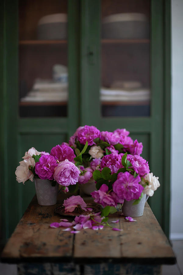 Pink And White Roses In Metal Vases On Wooden Table Photograph by Alicja Koll