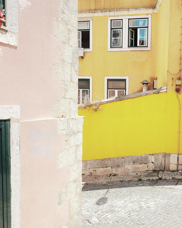 Pink and Yellow Corner Photograph by Lupen Grainne