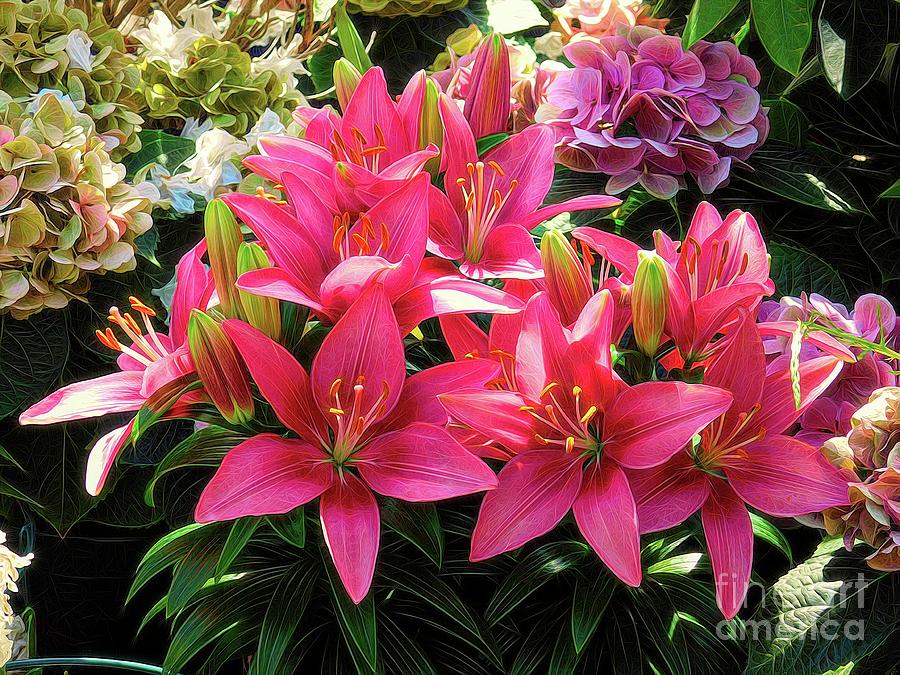 Pink Asiatic Lilies with Abstract Melting Effect Photograph by Rose Santuci-Sofranko