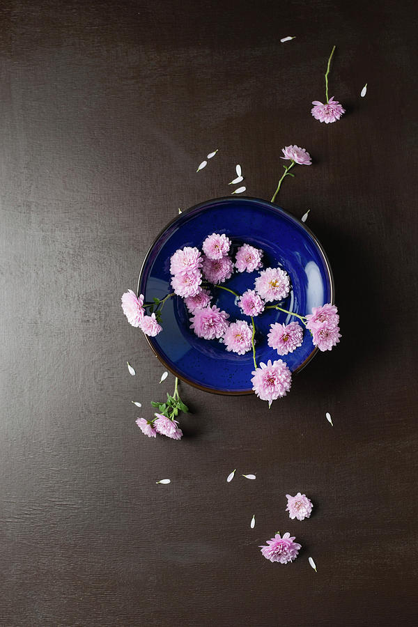 Pink Asters In Blue Bowl Photograph by Mandy Reschke
