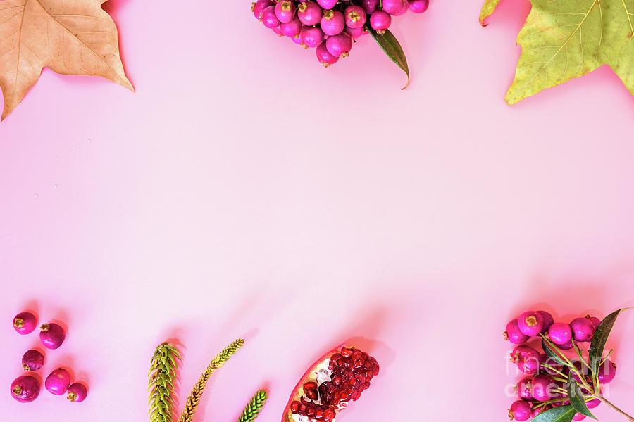 Pink background with fruits and autumnal motifs, empty center to include text. Photograph by Joaquin Corbalan