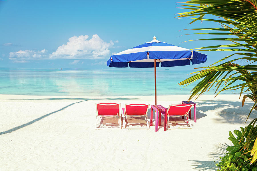 Pink beach chairs and blue umbrella in sandy palm beach
