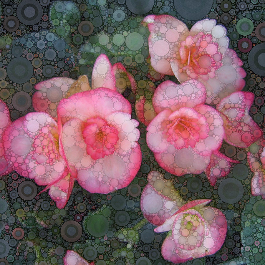 Pink Begonia Digital Art by Daniel McPheeters