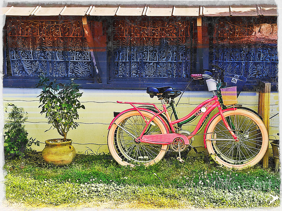 Pink Bike Photograph by Kathy Strauss