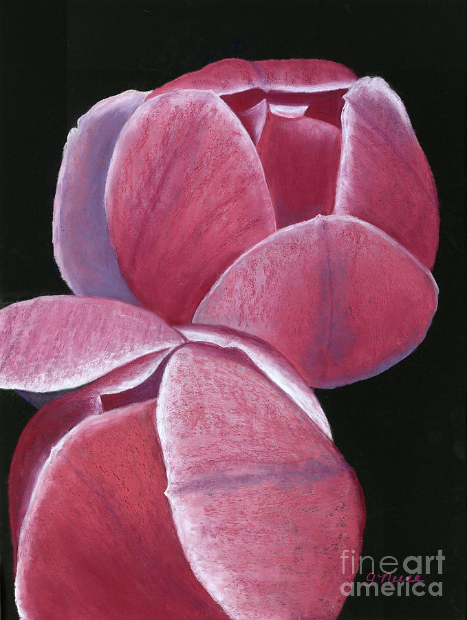 Pink Buds on Black Painting by Ginny Neece