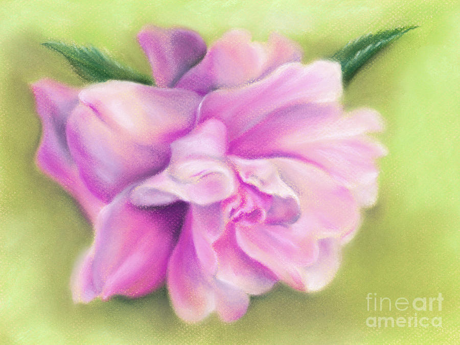 Pink Camellia with Leaves Painting by MM Anderson