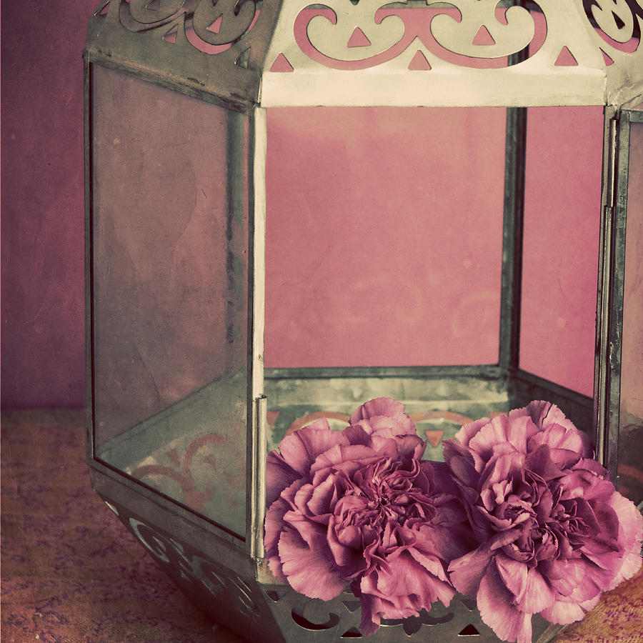 Still Life Photograph - Pink Carnations In A Lantern by Tom Quartermaine