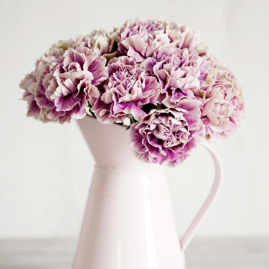 Still Life Photograph - Pink Carnations In A Pink Jug by Tom Quartermaine