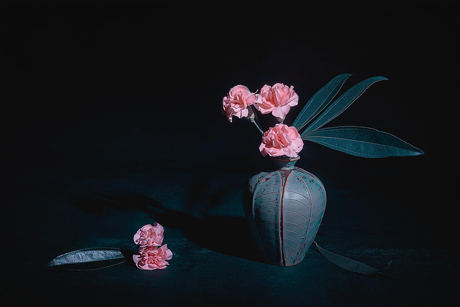 Flower Photograph - Pink Carnations by Lydia Jacobs