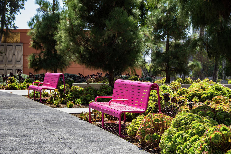 Pink Chairs at Grand Park Photograph by Roslyn Wilkins