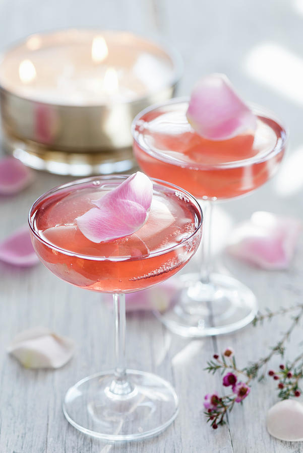 Pink Champagne Jelly With Rose Petals For Valentines Day Photograph by Winfried Heinze