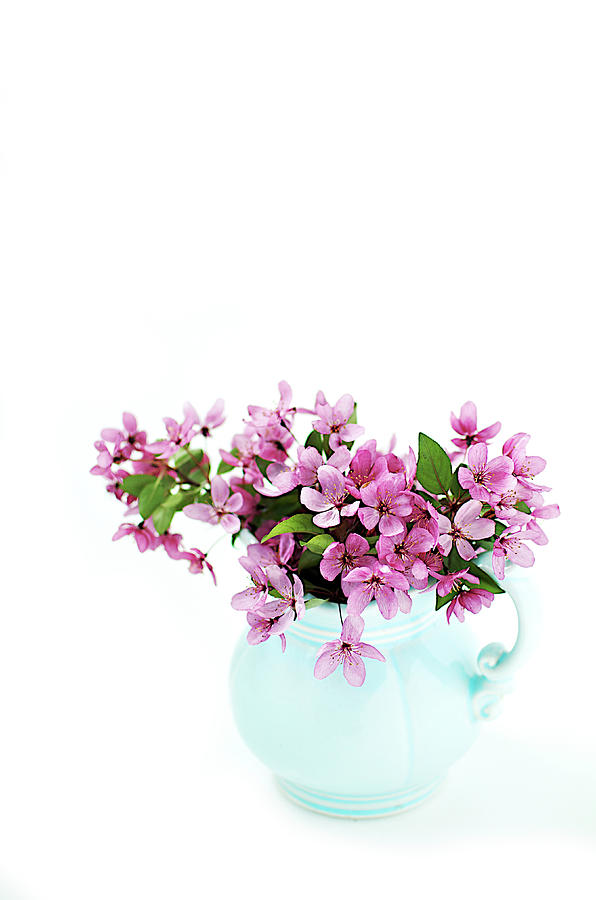 Pink Cherry Blossoms In Blue Pitcher Photograph by Melissa Ross