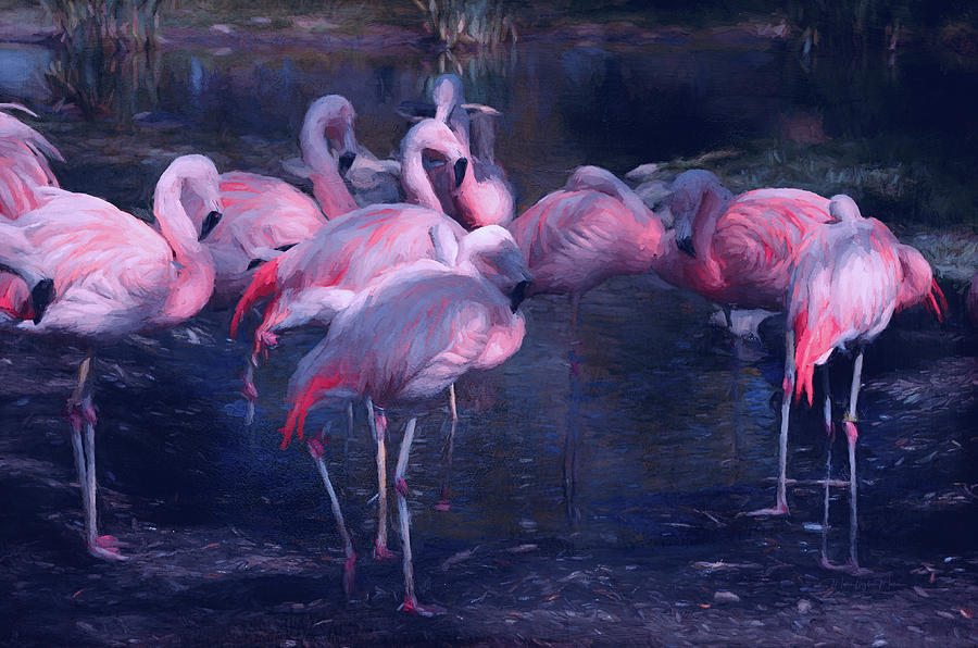 Pink Chilean Flamingos Standing At The Water Side Photograph by Maria Angelica Maira