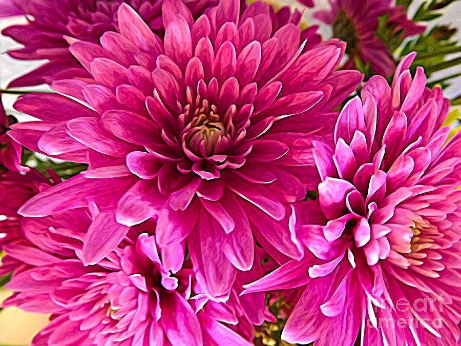 Pink Chrysanthemum Flowers Expressionist Effect Photograph by Rose Santuci-Sofranko