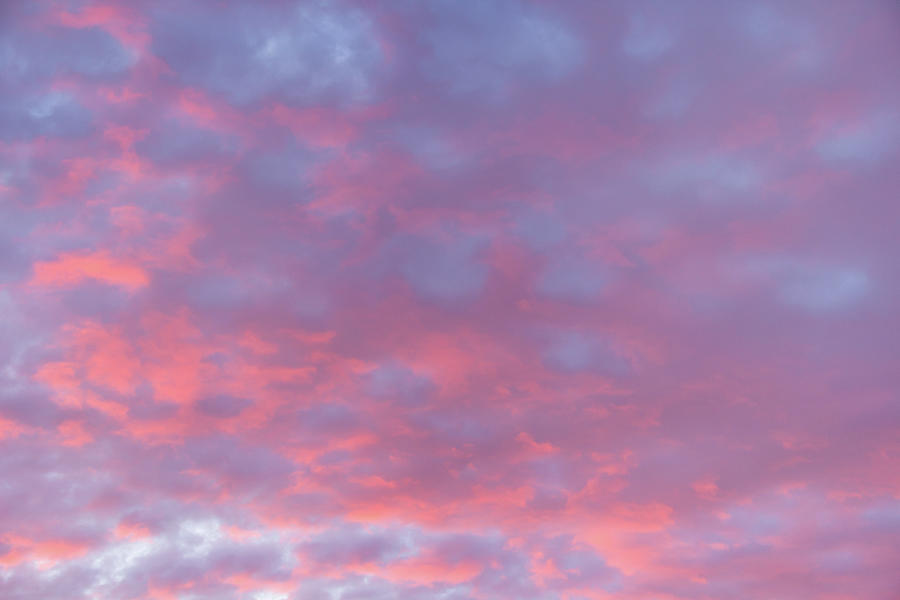 Pink Cirrocumulus Clouds Photograph by Amy Sorvillo | Fine Art America