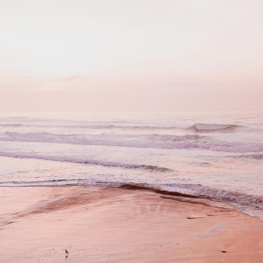 Pink Coastal Photograph by Bonnie Bruno
