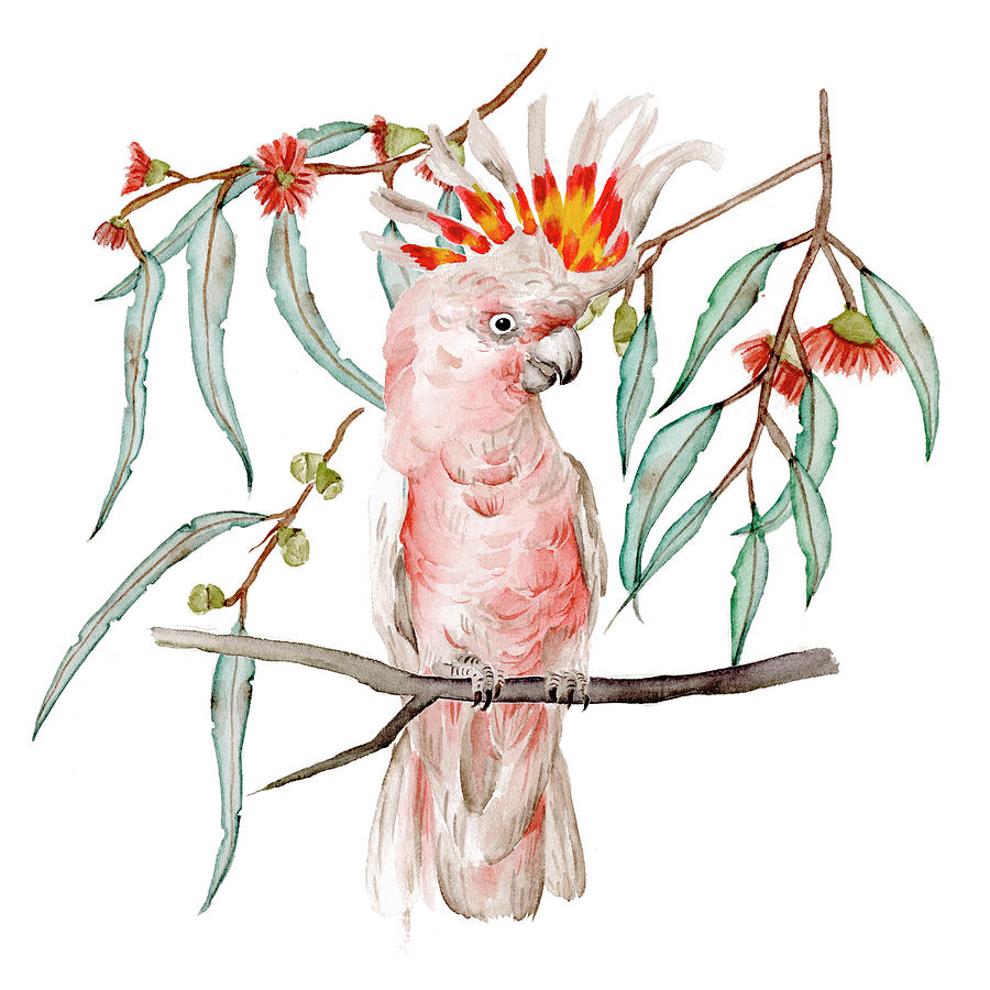 pink cockatoo painting