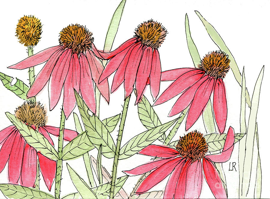  Pink Coneflowers Gather Watercolor Painting by Laurie Rohner