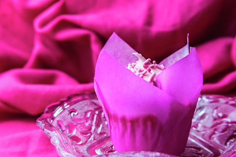 Pink Cupcake with Pink Sprinkles by Jeanette Fellows Pink Cupcake with Pink Sprinkles by Jeanette Fellows