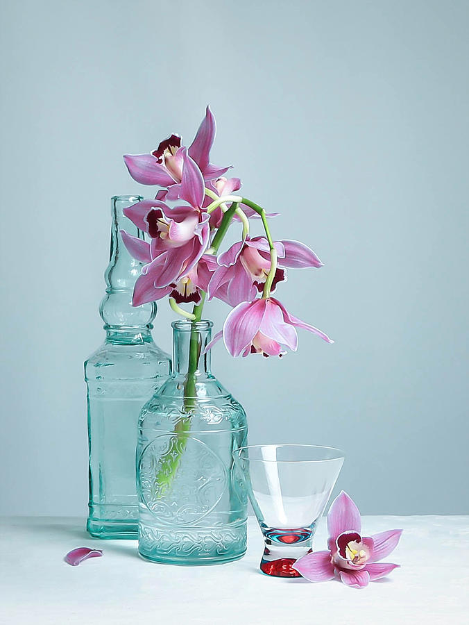 Orchid Photograph - Pink Cymbidium by Fangping Zhou