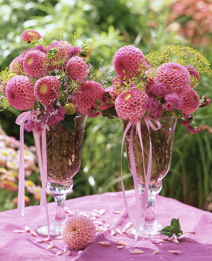 Pink Dahlias And Fennel In Vases summery Photograph by Friedrich Strauss